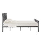 Matte Black Finish Metal Bed - Queen (Queen Size)