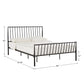 Matte Black Finish Metal Bed - Queen (Queen Size)