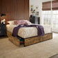 Wood Finish Panel Black Metal Platform Bed with Storage Drawers - Full Size with 4 Wire Storage Drawers (Full Size)